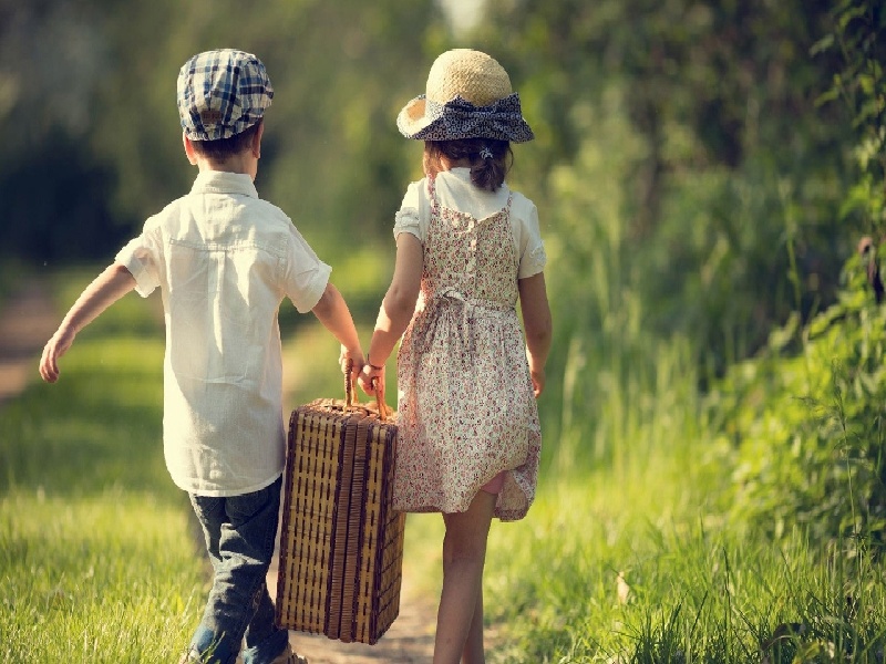 移植囊胚流程费用（试管促排很困）