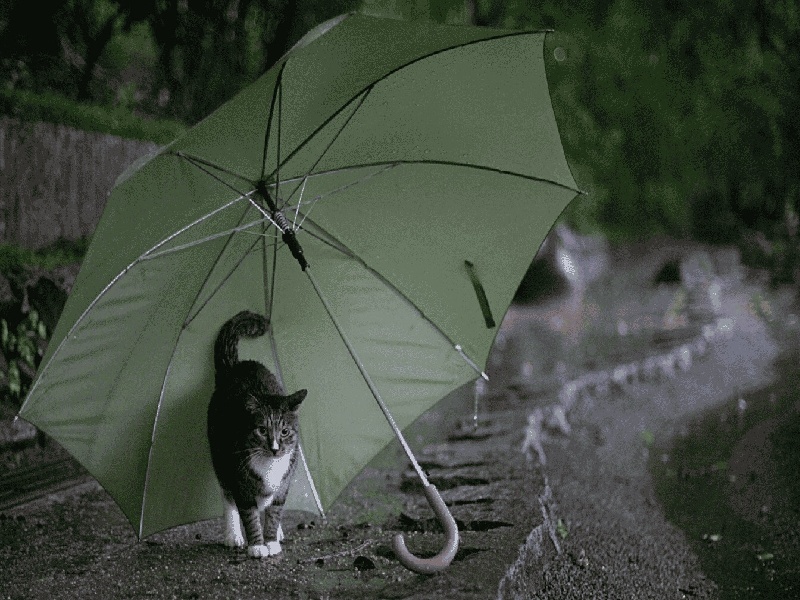 深圳试管做几代好,2024年深圳试管早筛没做（试管怀孕每天卧床）