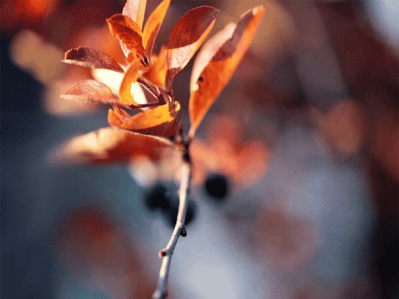 试管宝宝是什么（试管加热对准哪里）——